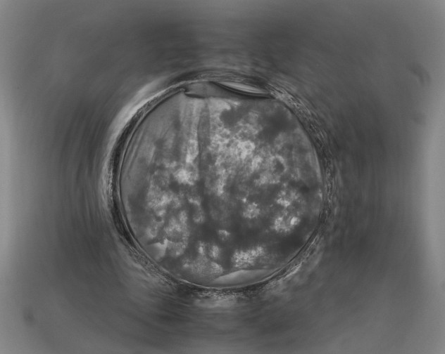 X0000113070343200909250934
