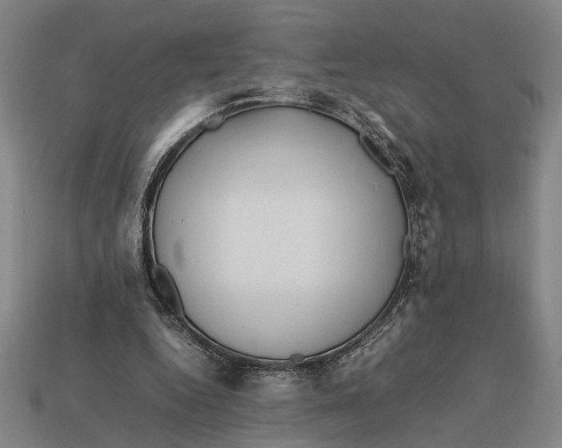 X0000113070344200909250934