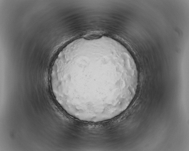 X0000113070345200909250934