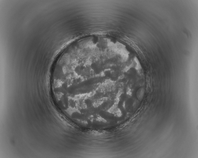 X0000113070346200909250934