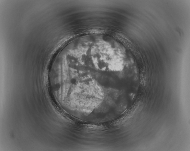 X0000113070347200909250934