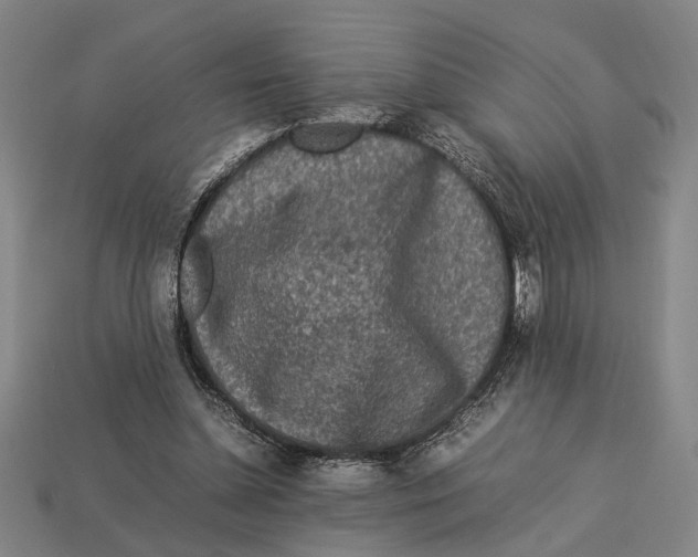 X0000113070348200909250934
