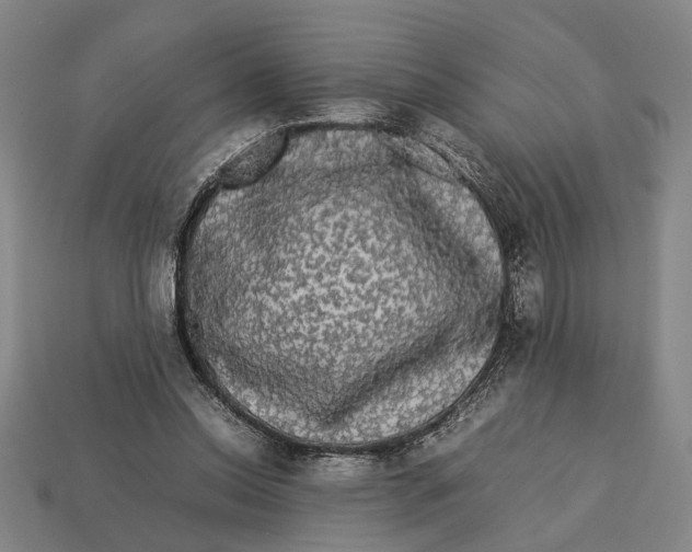 X0000113070350200909250934
