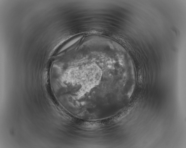 X0000113070351200909250934