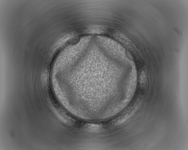X0000113070352200909250934
