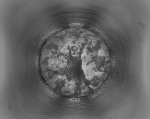 X0000113070353200909250934