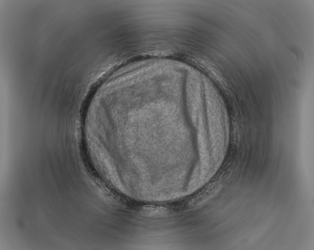 X0000113070354200909250934