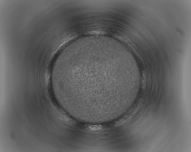 X0000113070355200909250934