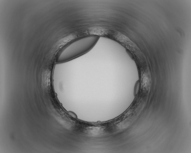 X0000113070356200909250934