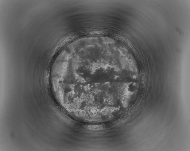 X0000113070357200909250934