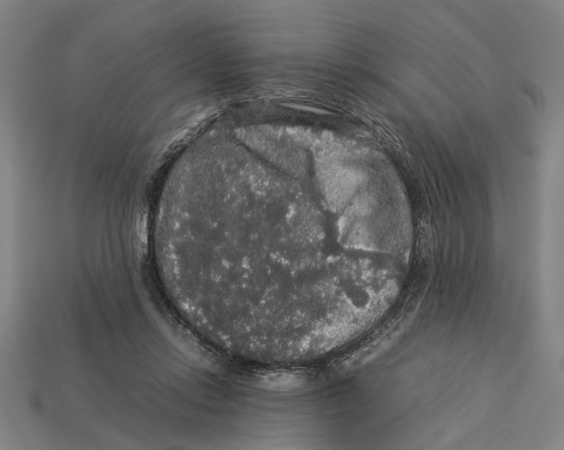 X0000113070358200909250934