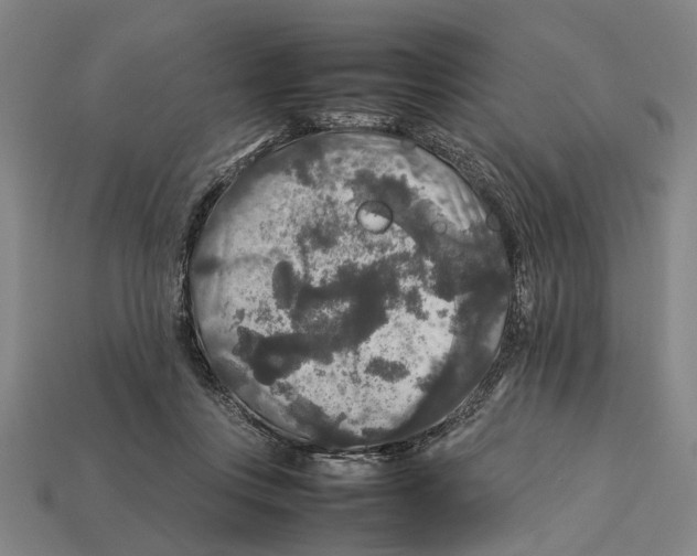 X0000113070359200909250934