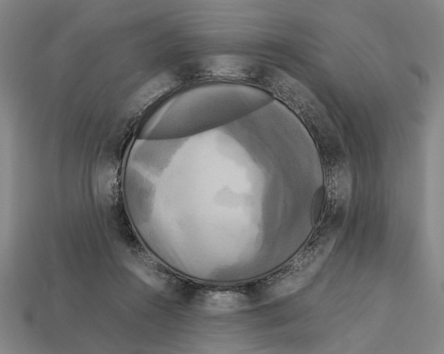 X0000113070360200909250934