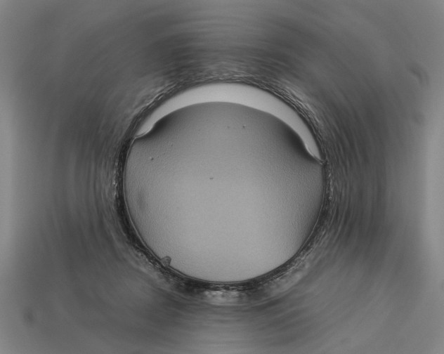 X0000113070362200909250934