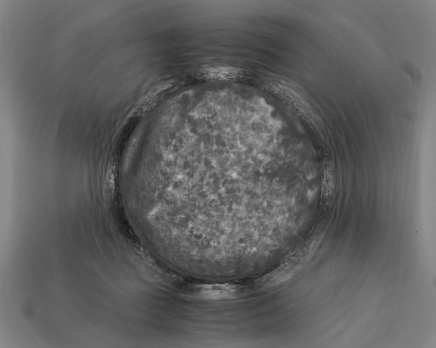 X0000113070363200909250934