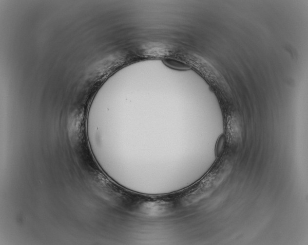 X0000113070364200909250934