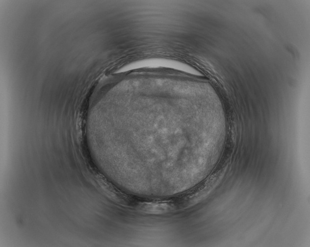 X0000113070366200909250934