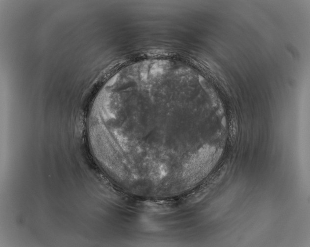 X0000113070367200909250934