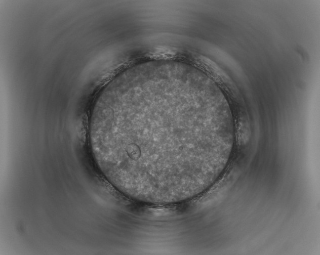 X0000113070370200909250934