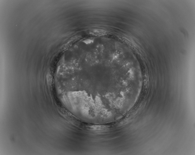 X0000113070371200909250934