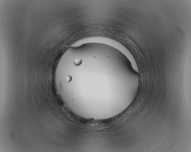 X0000113070372200909250934
