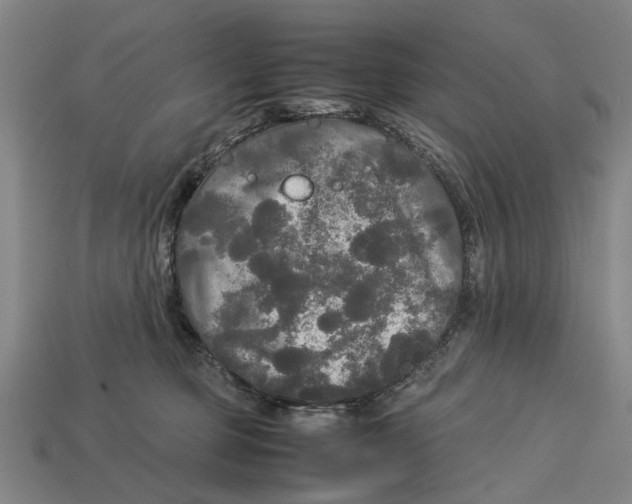 X0000113070373200909250934