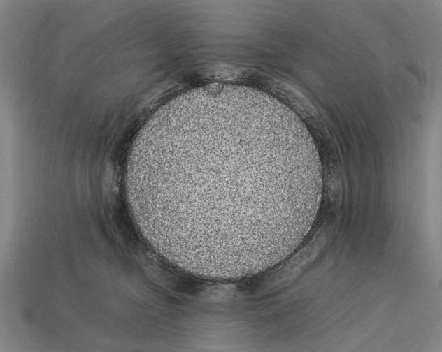 X0000113070374200909250934