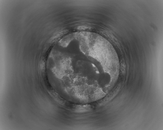 X0000113070375200909250934