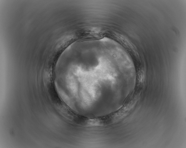 X0000113070376200909250934