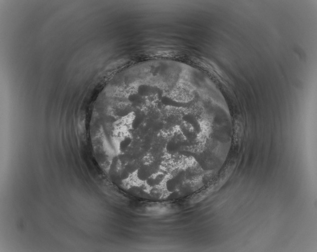 X0000113070377200909250934