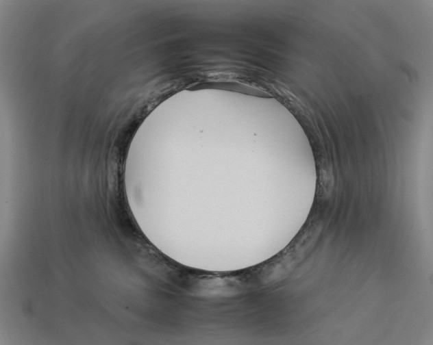X0000113070379200909250934