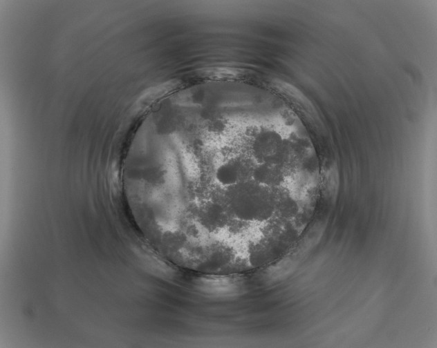 X0000113070381200909250934