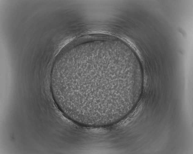 X0000113070385200909250933