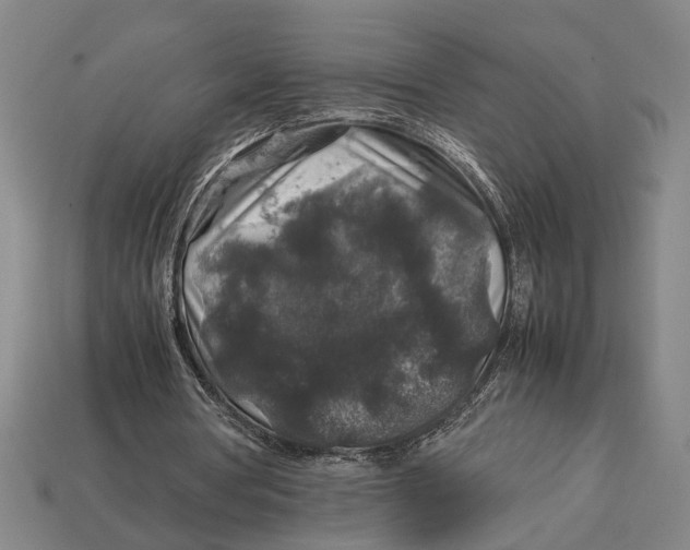 X0000113070386200909250933