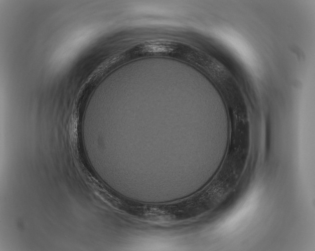 X0000113070387200909250933
