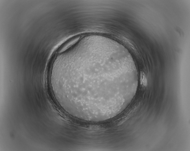 X0000113070388200909250933