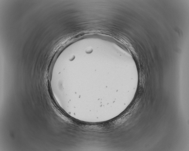 X0000113070389200909250933