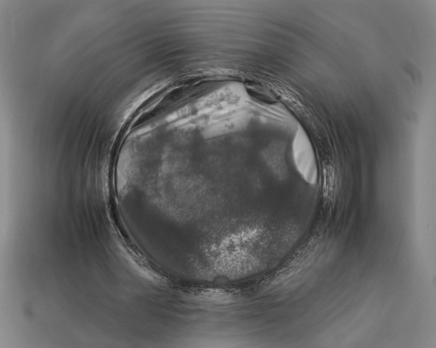 X0000113070390200909250933
