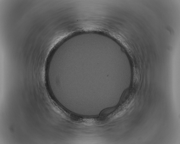 X0000113070391200909250933