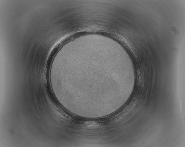 X0000113070392200909250933