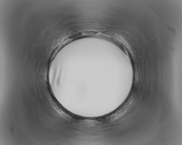 X0000113070393200909250933