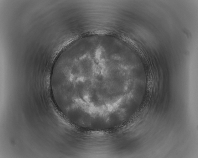 X0000113070394200909250933