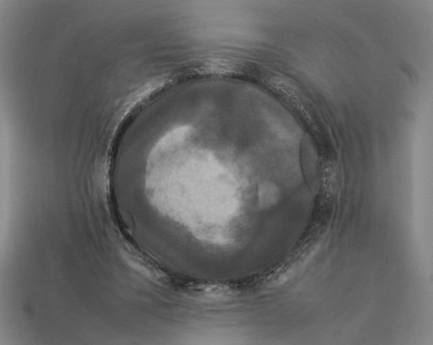 X0000113070395200909250933