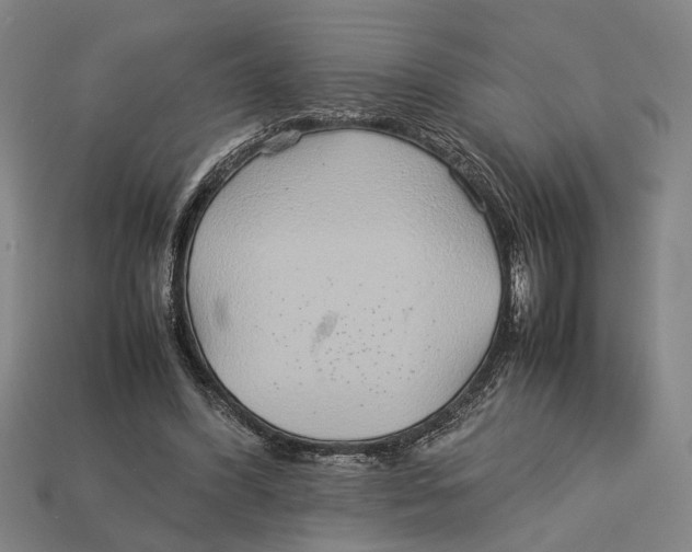 X0000113070396200909250933