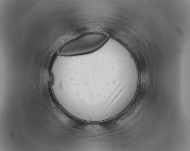 X0000113070397200909250933