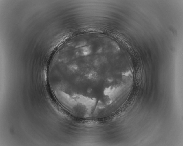 X0000113070398200909250933