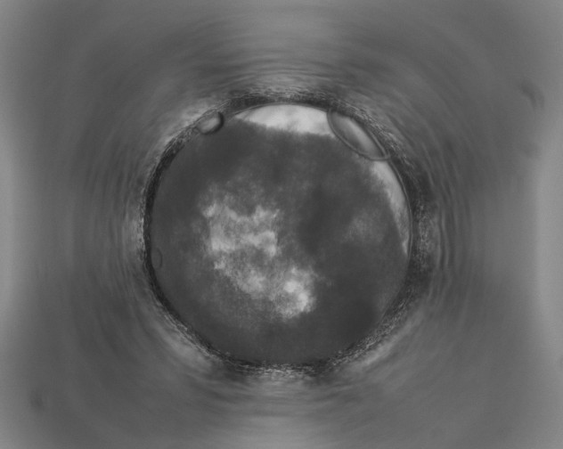 X0000113070399200909250933