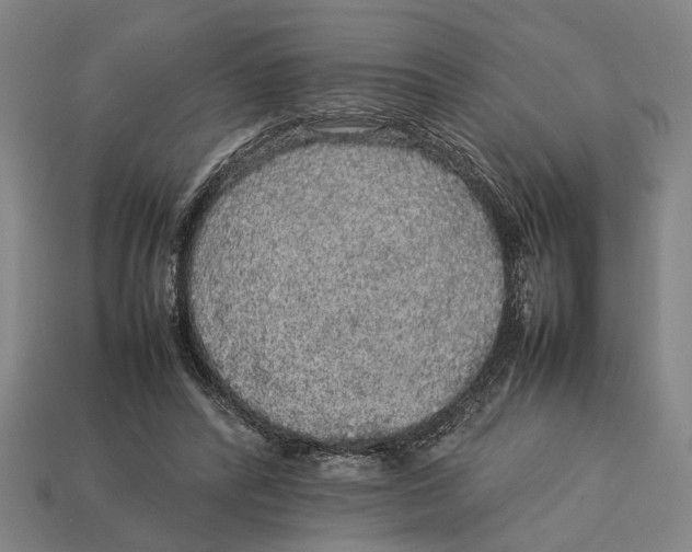 X0000113070400200909250933
