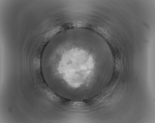 X0000113070401200909250933