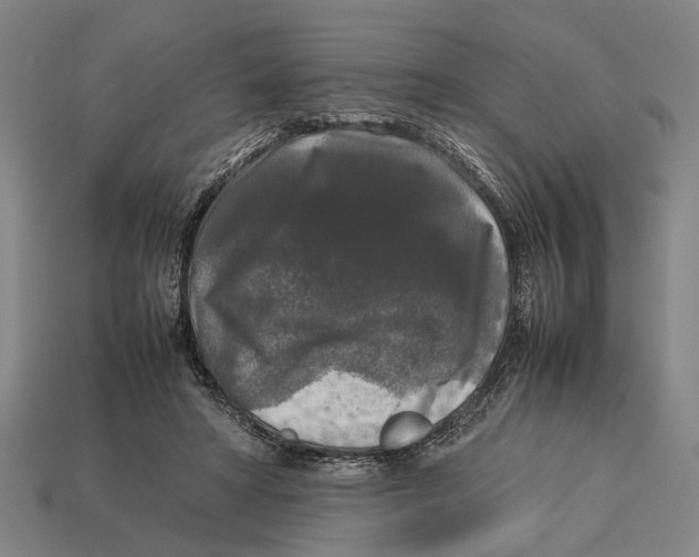 X0000113070402200909250933